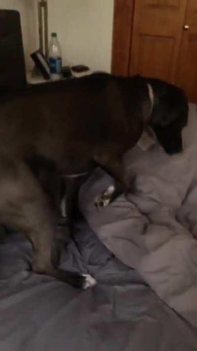 Oh, am I in your spot? Here, let me move out of the way for you