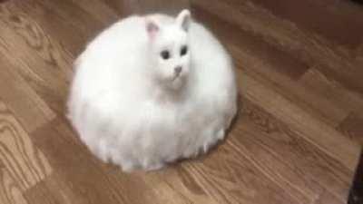 Less than 24 hours until r/pan opens for broadcasting!