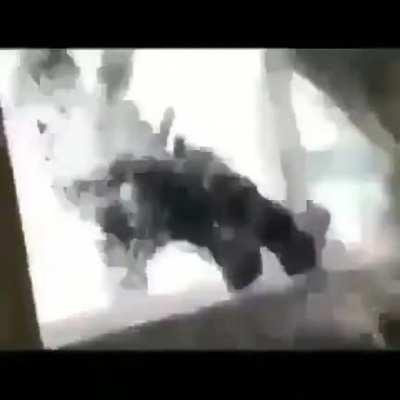 FBI OPEN THE DOOR!!!