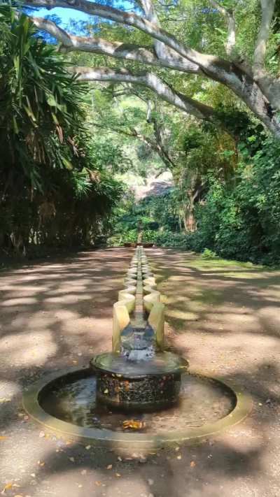 Pulsing Water Fountain