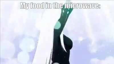 Echidna spin echidna spin