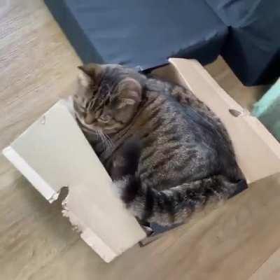 Oh lawd he’s comin’