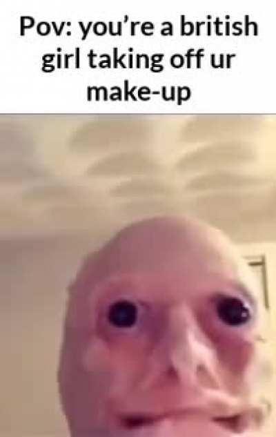 It is of common knowledge that the only people uglier than the british are the fr*nch