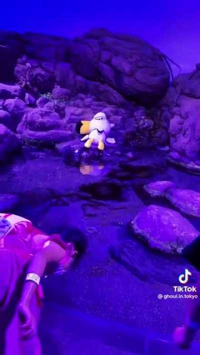 Did anyone else know this existed? 😩