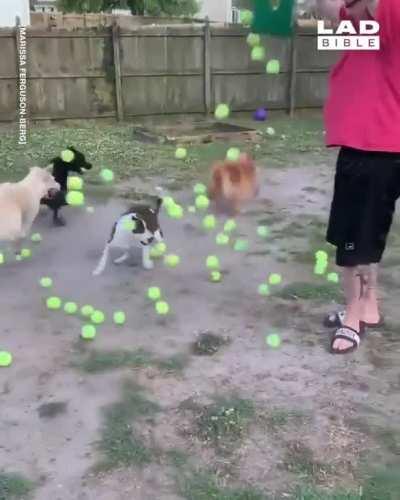 It's like they won the lottery