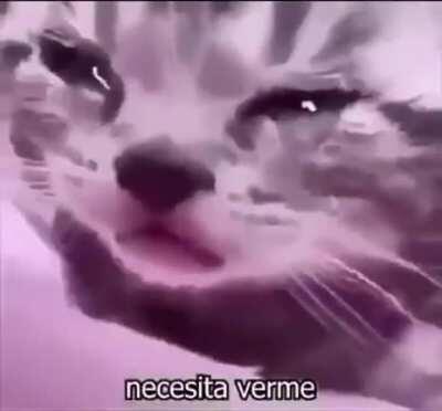 Nosotros cuando no hay viernes de reddit durante 3 semanas