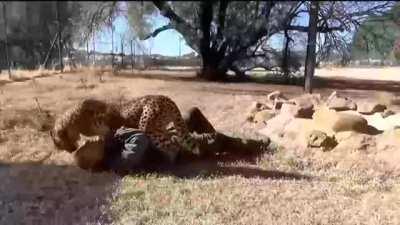 RICO O TURBIO 🤨📸