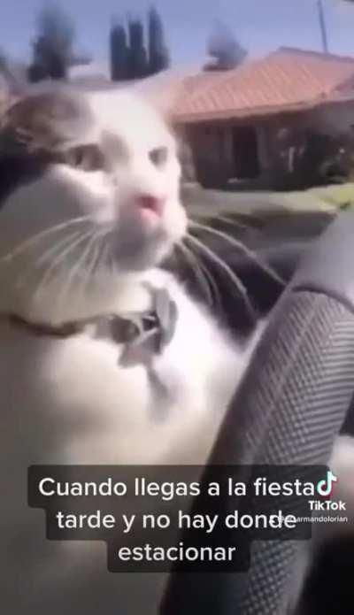 Mejor me voy que estacionar en la otra cuadra