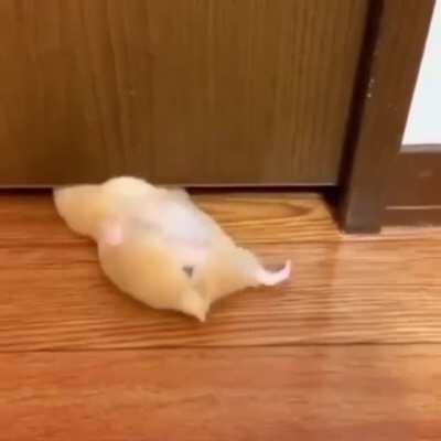 Mission: Impossible - Hamster Protocol