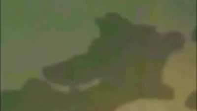 Another weird edit found on discord, i wonder who makes these