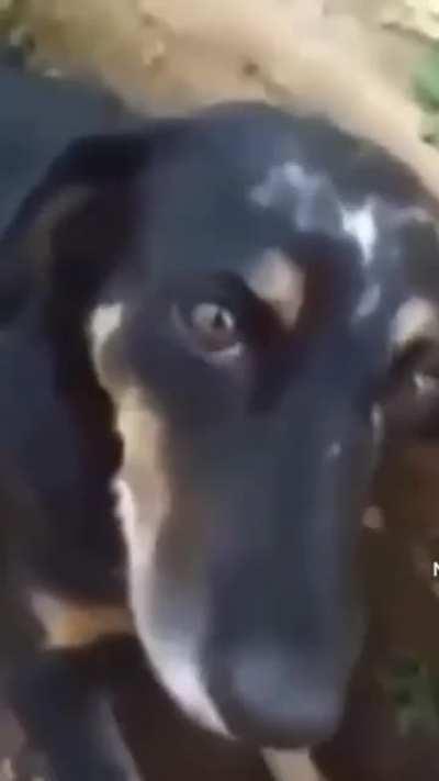 porque W se escreve com D?