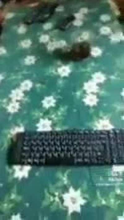 I'm 15 and this is yeet