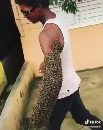 Bee Gauntlet -15 speed, +30 splash damage, applies fear