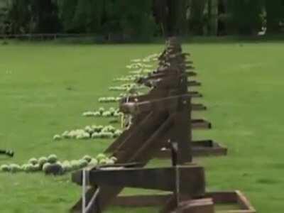 Старое, но доброе воплощение Сюткина в арбуз