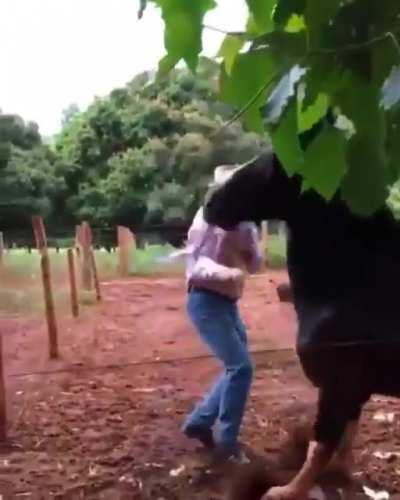 After the first bite attempt should have been your sign