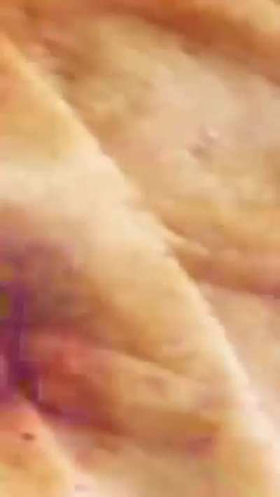 The rats are burrowing