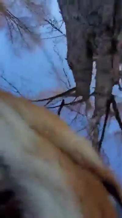 He just keeps dropping the phone