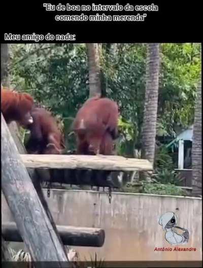 HUEstation - Video #1839