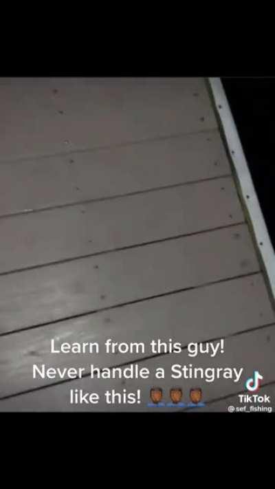 Handling wildlife like it's a pet. A free lesson on the name of this animal.