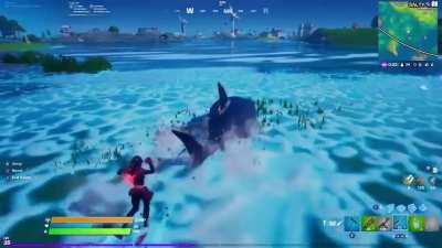 You can emote while riding loot sharks