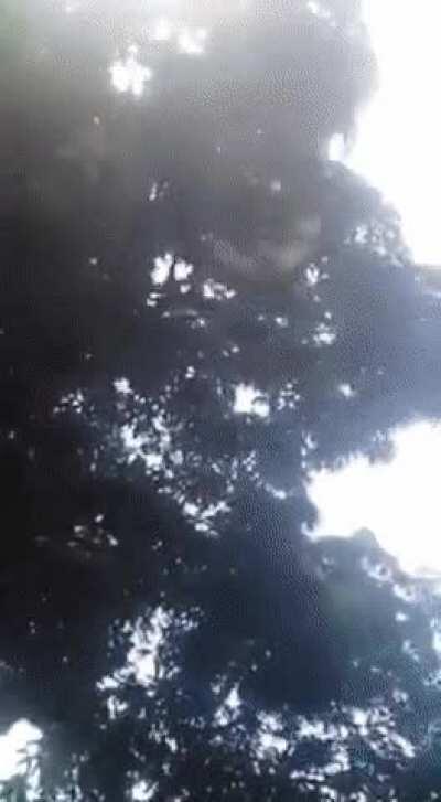 African space program