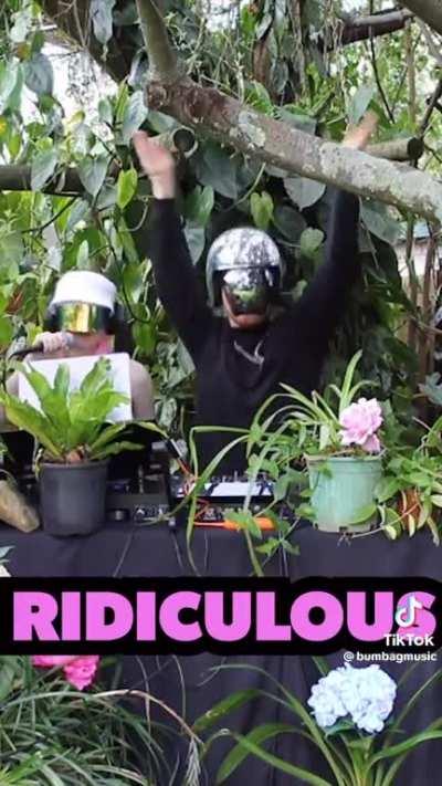 Had no idea about Koala Chlamydia or even any of these cures