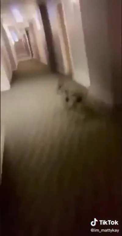 He saw the chance and took it