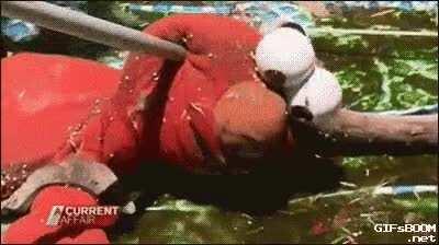 MRW I've been quarantine drinking for sixteen consecutive hours and my wife asks if I want to order wings