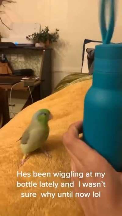 Школа танцев