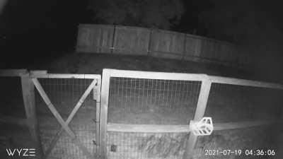 So this happened at 4:30 this morning.....