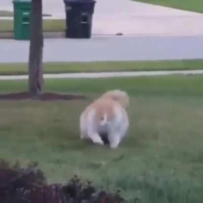 You may not like it, but this is what peak performance looks like.