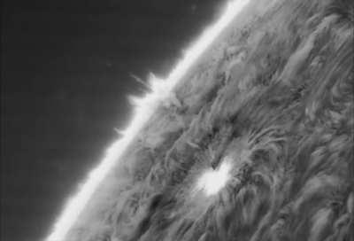 Sun - sunspots