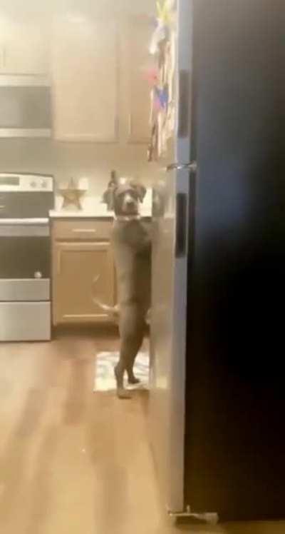 Just act normal, when caught..