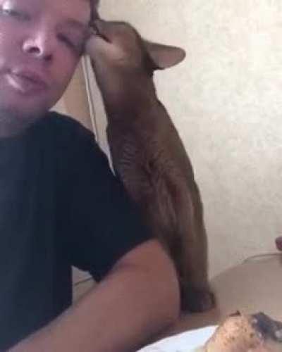 touch tha chicken....