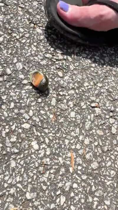 A little tease first