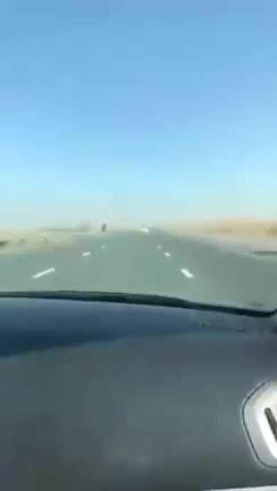 Tesla hits a camel in UAE. Notice any braking?