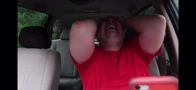 STOP FEEDING THE CATS!