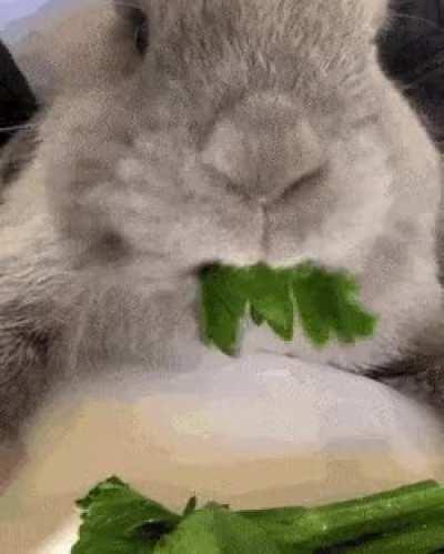 This guy reminding you to eat your greens