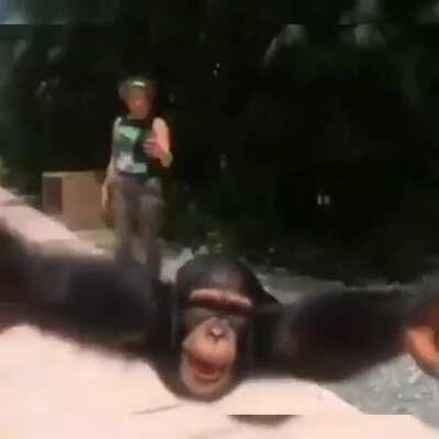 Le vengo a cumplir un sueño a orslon. Like si lloraste