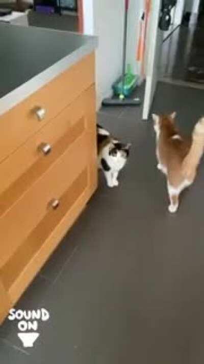 I literally walk past her and she yells