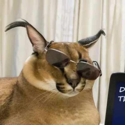 3D floppa pics 😳😳😳😳