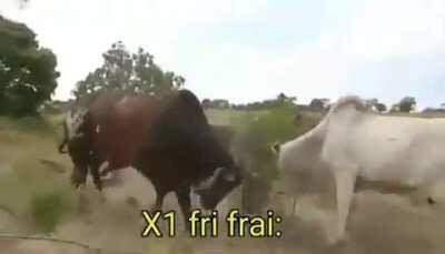 Hoje só foi capa família 😎