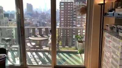 NYC congratulating President Biden