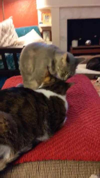 A peace that could never last