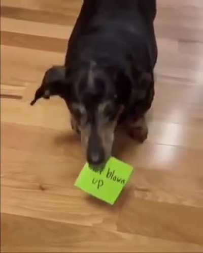 Usjfnsk wijf jendj!!!!!