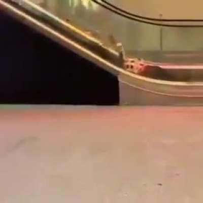 Gotta love the chuckle