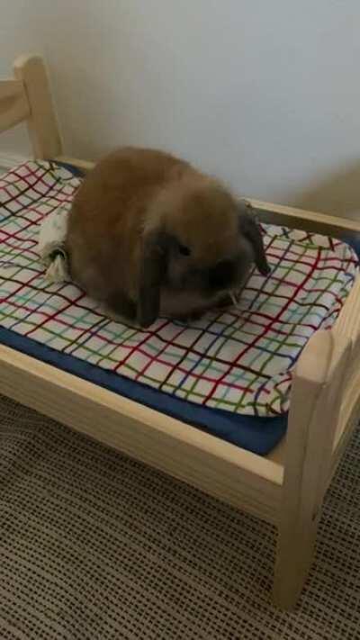 Any ideas of giving him a name? Great thanks!