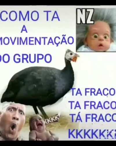 ta fraco ta fraco ta fraco ta fraco ta fraco