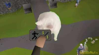 I can't train Agility anymore, I'm tired...