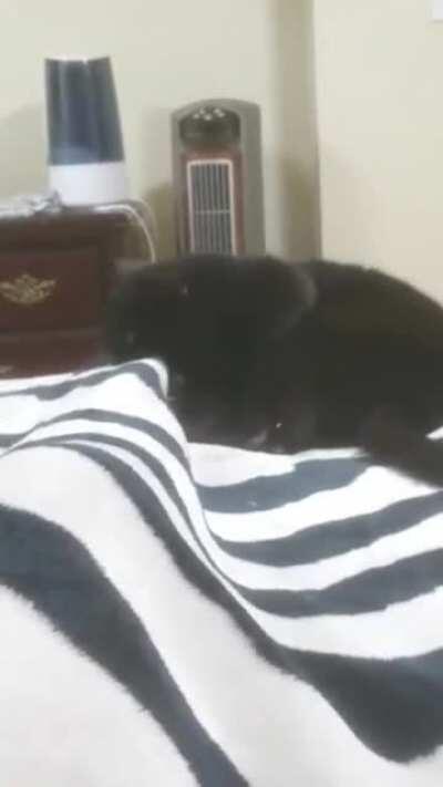 Powering up his attack.